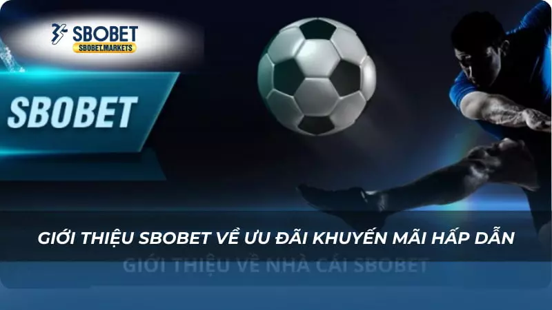 Giới thiệu Sbobet về ưu đãi khuyến mãi hấp dẫn