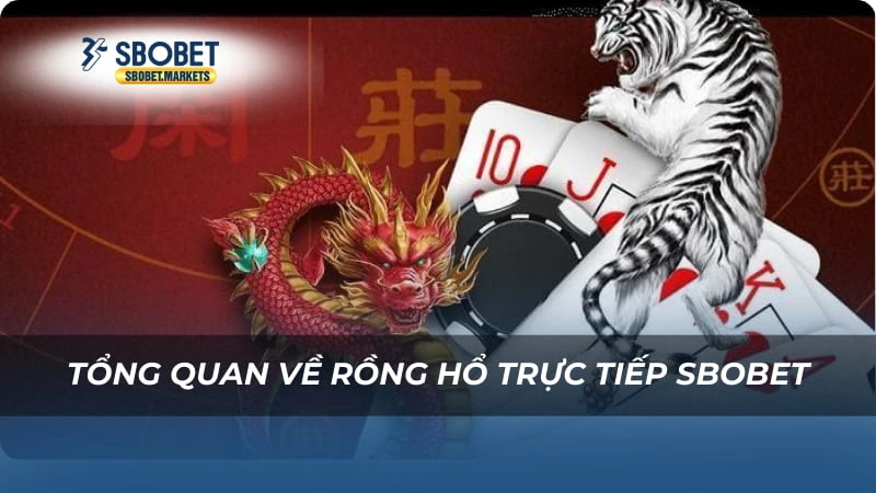 Tổng quan về Rồng hổ trực tiếp Sbobet