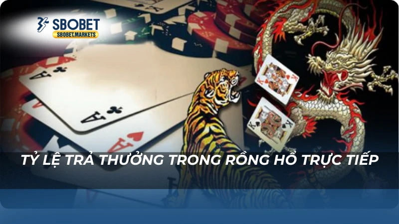 Tỷ lệ trả thưởng trong Rồng hổ trực tiếp