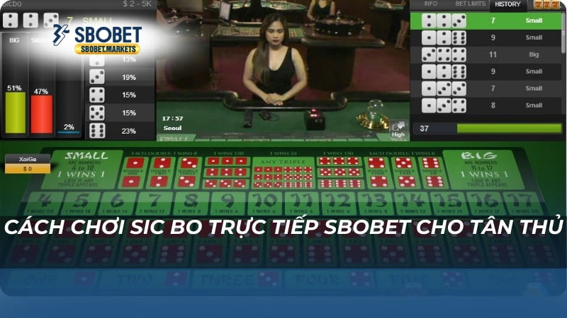 Cách chơi Sic Bo trực tiếp Sbobet cho tân thủ