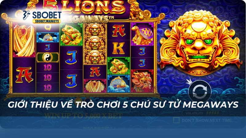 Giới thiệu về trò chơi 5 Chú Sư Tử Megaways