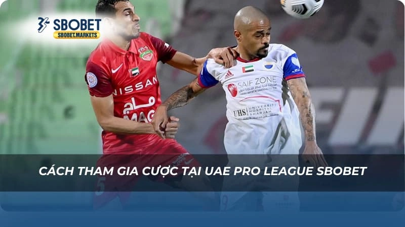 Cách tham gia cược tại UAE Pro League Sbobet
