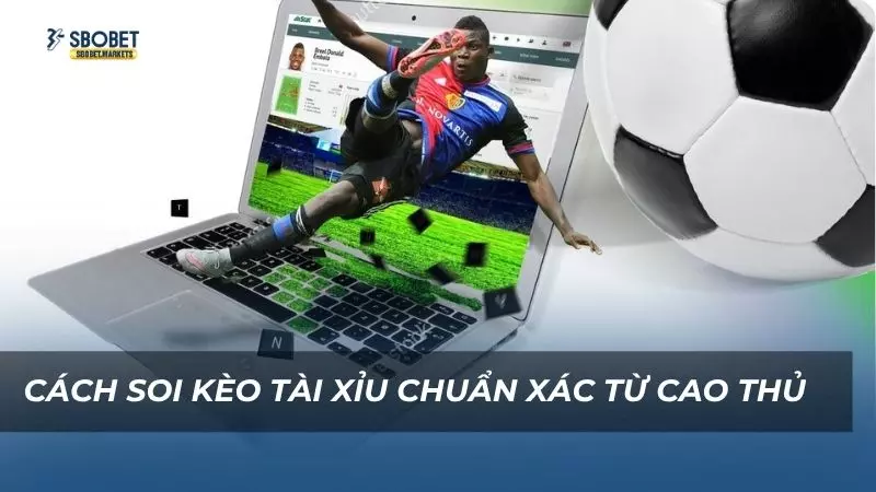 Những yếu tố quan trọng thường được áp dụng khi soi