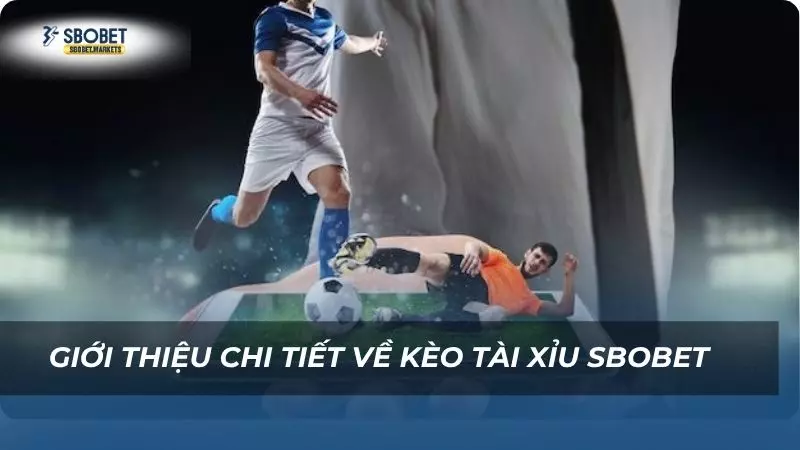 Chi tiết các thông tin về kèo cược tài xỉu hiện nay